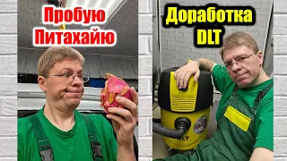 Пробую Питахайю. Доработка пылесоса DLT.