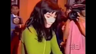 stan twitter: björk annihilates a reporter