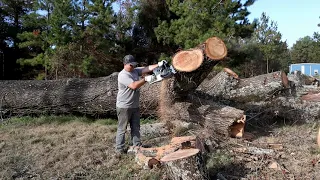 G660 Pro In Red Oak Best Holzfforma Chainsaw ?