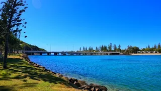 4K Koala Park GOLD COAST Australia | Tallebudgera Creek Walk