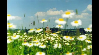 2022-07-09 Св. Месса из Пакутувенай (на русском) | Šv. Mišios iš Pakutuvėnų bažnyčios (rusų kalba)