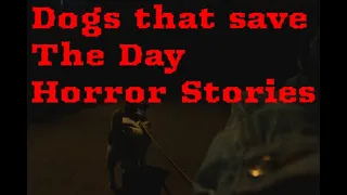 4 Scary Dogs That Save The Day Horror Stories