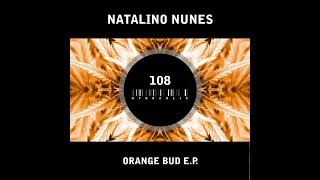 Natalino Nunes - Orange Bud E.P. - Hydraulix 108