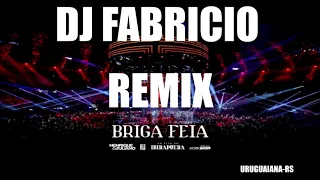 BRIGA FEIA - REMIX -  DJ FABRICIO - URUGUAIANA-RS