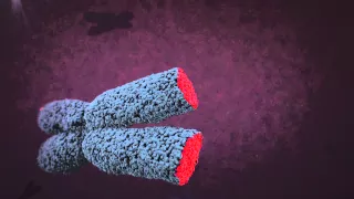 Telomere animation