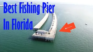 The Best  Fishing Pier in Florida!! (Skyway Fishing Pier)