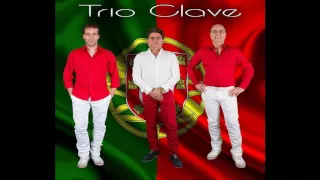 Musica de baile com Trio Clave 2016
