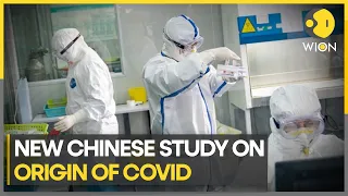 Chinese Government scientists claim infamous Wuhan market may NOT be source of Covid pandemic | WION