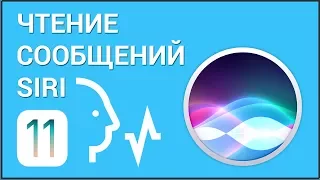 Как попросить Siri прочитать сообщения? Включаем функцию Экран вслух, настраиваем прослушивание SMS