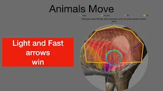 Light arrows WIN!!! Archery Education Video 6 Animals Move