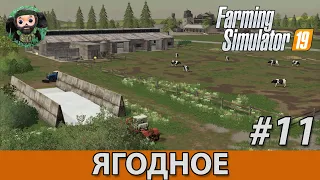Farming Simulator 19 : Ягодное #11 | Коровы