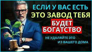 НИКОГДА НЕ ВЫНОСИТЕ ЭТО РАСТЕНИЕ ИЗ ДОМА   ПРИВЛЕКАЕТ ДЕНЬГИ и БОГАТСТВО