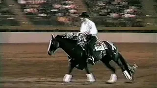 2002 National Western Stock Show Freestyle Reining - Guy Vernon