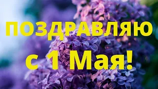 С праздником 1 мая 2024. Поздравляю с 1 мая. Открытка на 1 мая. Весенний праздник. Поздравление.