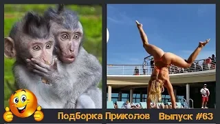 Лучшие приколы 2019 Февраль | Тест на психику | ПО ПРИКОЛУ#63😂 | Свежая подборка