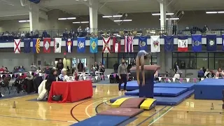 Amina Mackalo, Gym America L10 Vault 2022 R5 Insider Classic