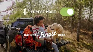 National Forest Week 2023: Forest Mode