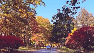 Scenic Drive - Fall Foliage in Upstate New York | Niskayuna, Schenectady New York