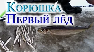 Ловим корюшку,Первый лёд 2019,Catching smelt, First ice 2019,