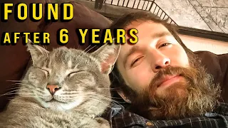 I lost my cat and found him 6 YEARS LATER...but now it's too late. (a story of letting go)