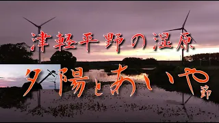 夕暮れの津軽湿原で『津軽あいや節』を弾く　津軽三味線　Playing Tsugaru Shamisen at nomadic style [Tsugaru aiya bushi]