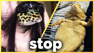Reviewing Your Disappointing Reptile Pictures - #6