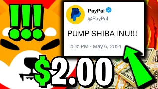 BREAKING: PAYPAL TURNS SHIBA INU INTO A $2.00 GIANT THIS MONTH!!! - SHIBA INU NEWS TODAY