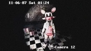 THESE FNAF VHS TAPES WILL MAKE YOU TERRIFIED...