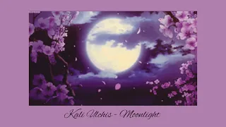 Kali Uchis - Moonlight ( Instrumental + pitch vocals)