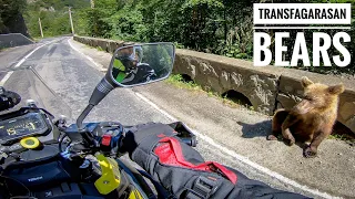 Two day ride with my wife on Transalpina & Transfagarasan