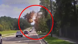 Dashcam video: Huge tree topples on top of car, pulls down power lines