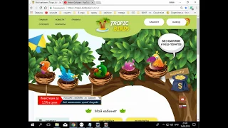 игра с выводом денег Tropic-birds