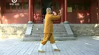 少林迷踪拳Shaolin Mizong Quan