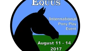 Equus IPPE 2016:  The Pony Show, Charisma