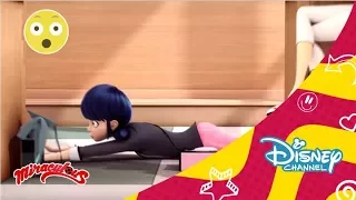 Las aventuras de Ladybug - Princesa Fragance | Disney Channel Oficial