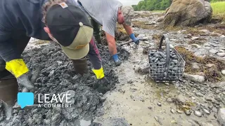 Digging for Steamer Clams