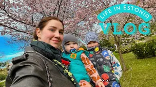 Vlog: моя повседневная жизнь в декрете 🌸 дети, сад, еда