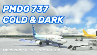 PMDG 737 MSFS - Easy Cold & Dark Start Tutorial