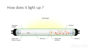 How do Fluorescent Lights works ?