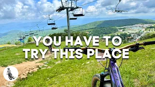 This Bike Park is Perfect - Beech Mountain