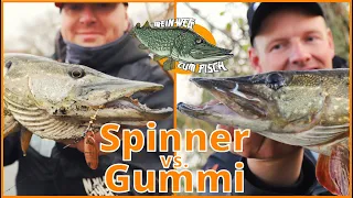 Spinner vs. Gummi - Welcher Köder fängt mehr Hecht und Barsch? Tipps und Tricks zum Angeln im Fluss