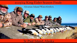 King Eider hunting  Season finale"