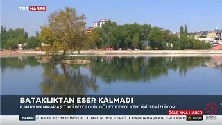 TRT Haber Canlı Yayın