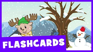 Seasons | Talking Flashcards