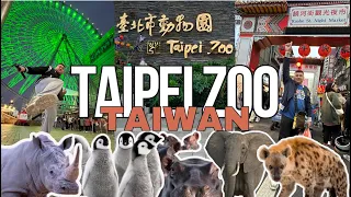 TAIWAN VLOG | TAIPEI ZOO + MIRAMAR FERRIS WHEEL + RAOHE Night Market | Part 2:2 of Day 1