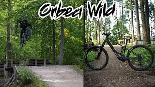 Orbea Wild M10 | ist es wirklich so gut?