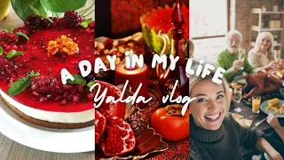 Daily Vlog | Yalda night celebration | making pomegranate cheesecake and having fun