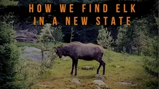 How I Find Elk In A NEW Unit