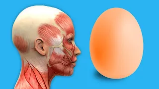 Jeden Tag ein gekochtes Ei: Die verblüffenden Effekte, die du erleben musst!