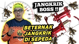 Cara Membuat Suara Freehub Sepeda Jadi Lebih Jangkrik Keras